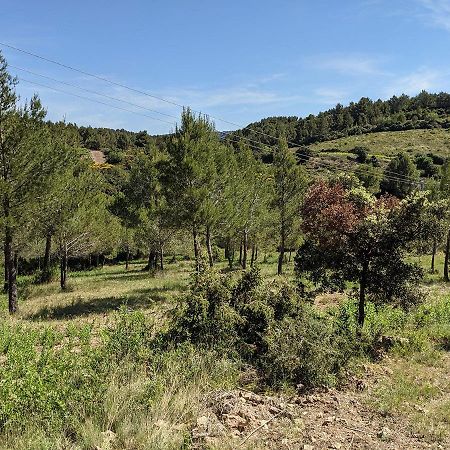 Bergerie Eco-Gite Serre Rouge Durban-Corbieres Eksteriør billede