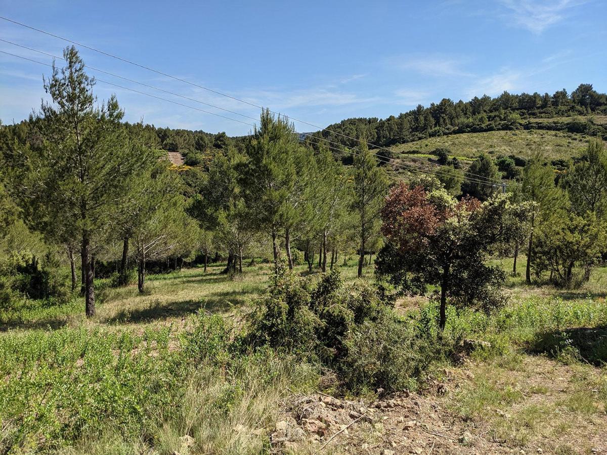 Bergerie Eco-Gite Serre Rouge Durban-Corbieres Eksteriør billede