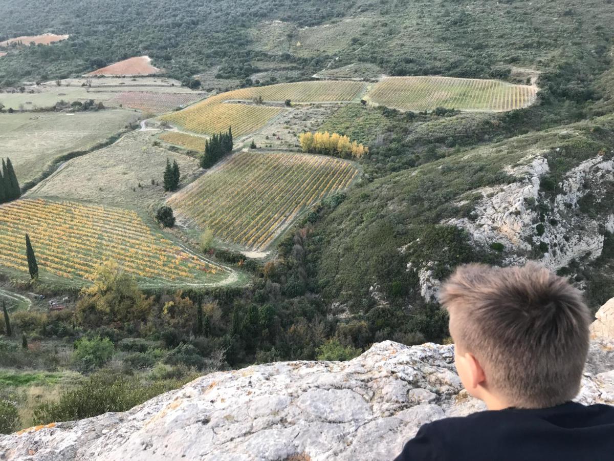 Bergerie Eco-Gite Serre Rouge Durban-Corbieres Eksteriør billede